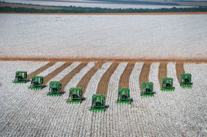 cotton_harvesting_-_grupo_bom_futuro_1