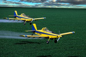 planes_spraying_at_cotton_field
