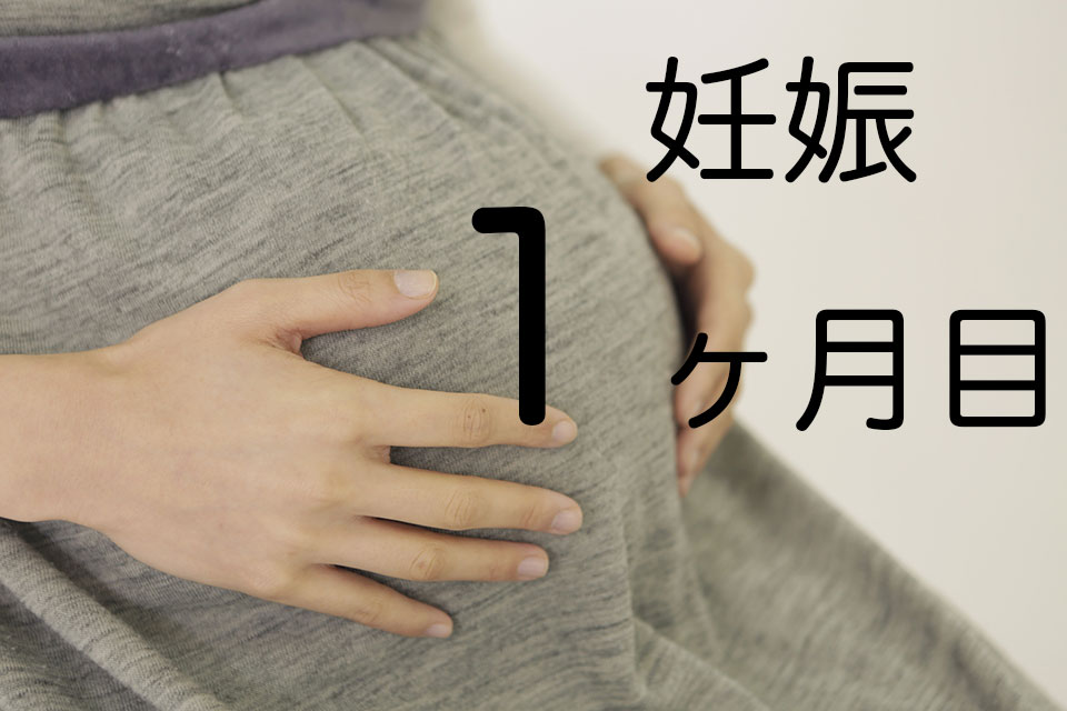 妊娠1ヶ月目（妊娠初期）で気をつけること。 | ママモル